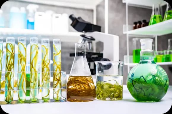 Laboratory Equipment