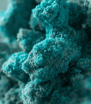 Copper HydroxideCopper Hydroxide